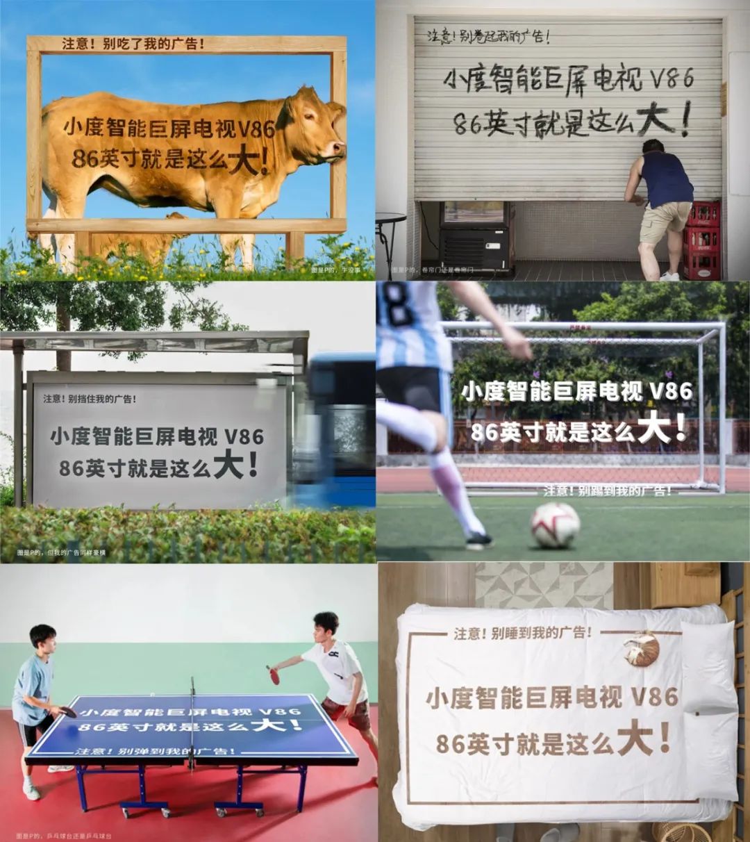 1629127131-a839062766bed19