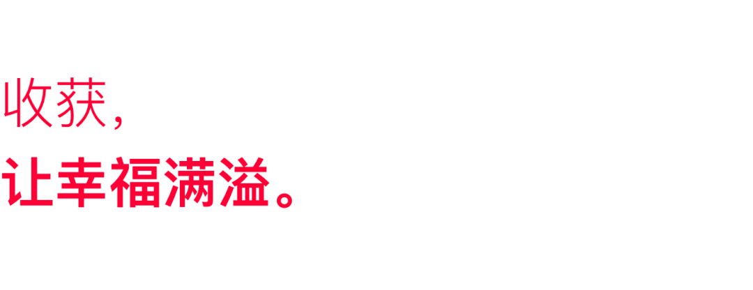 1636699482-d871b4e30537f1d