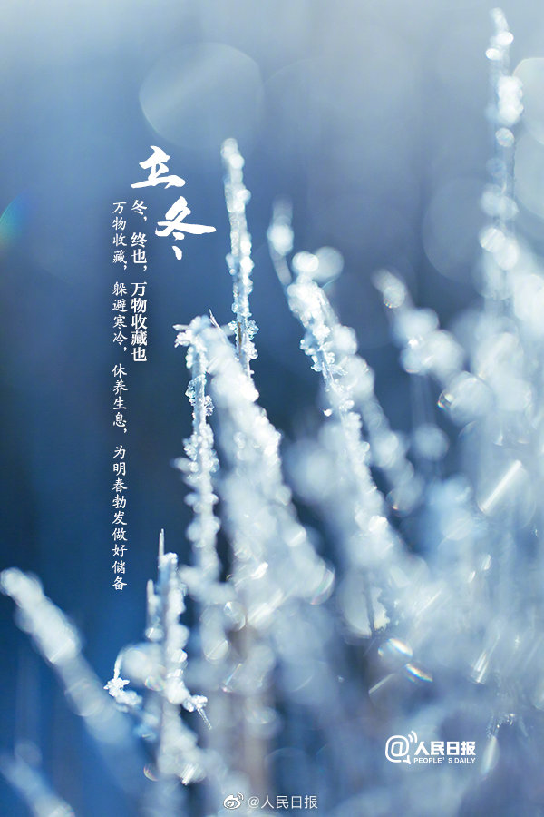 1636717353-bc774328711dbfd