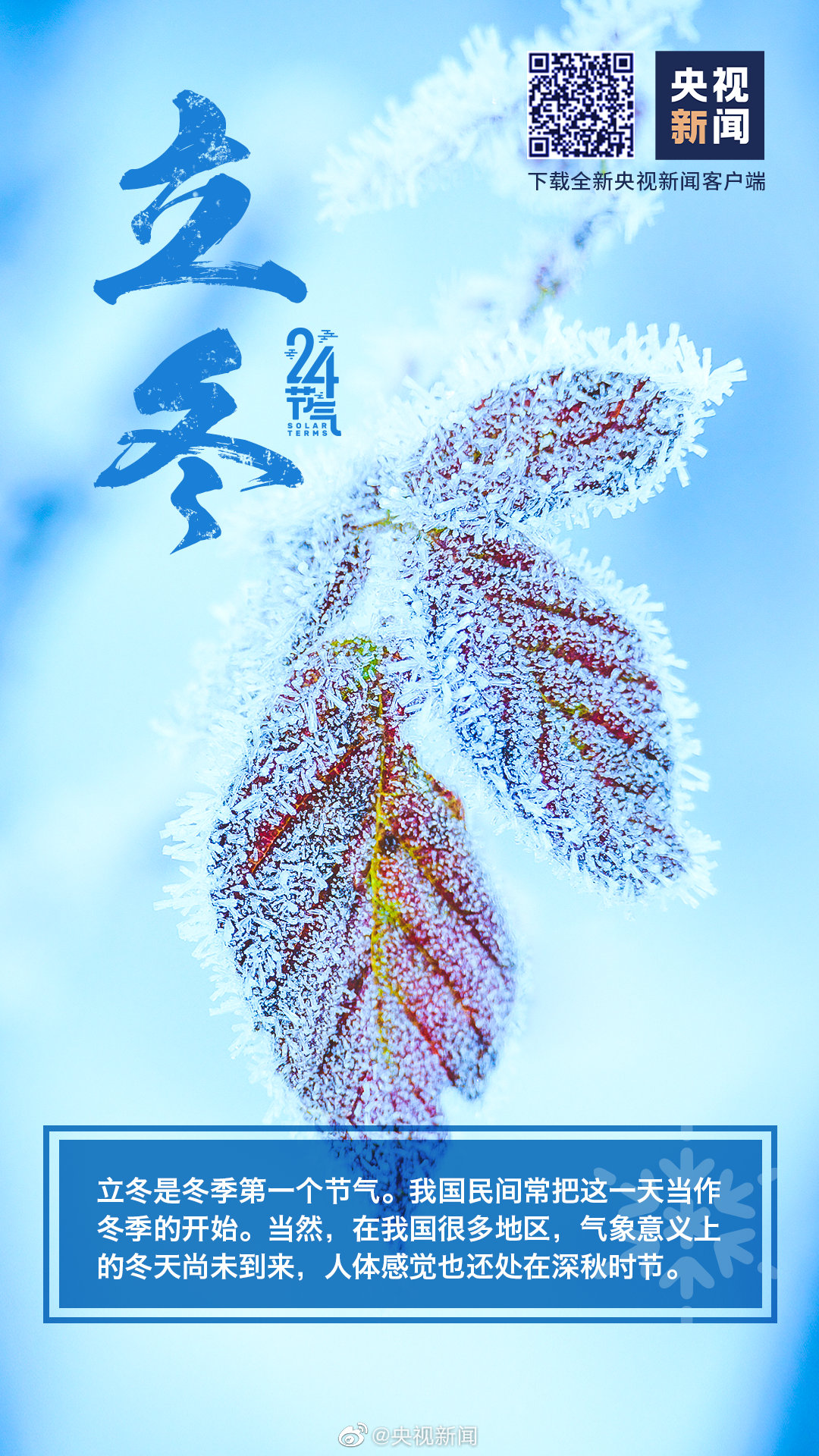 1636717482-2795238837d6dec