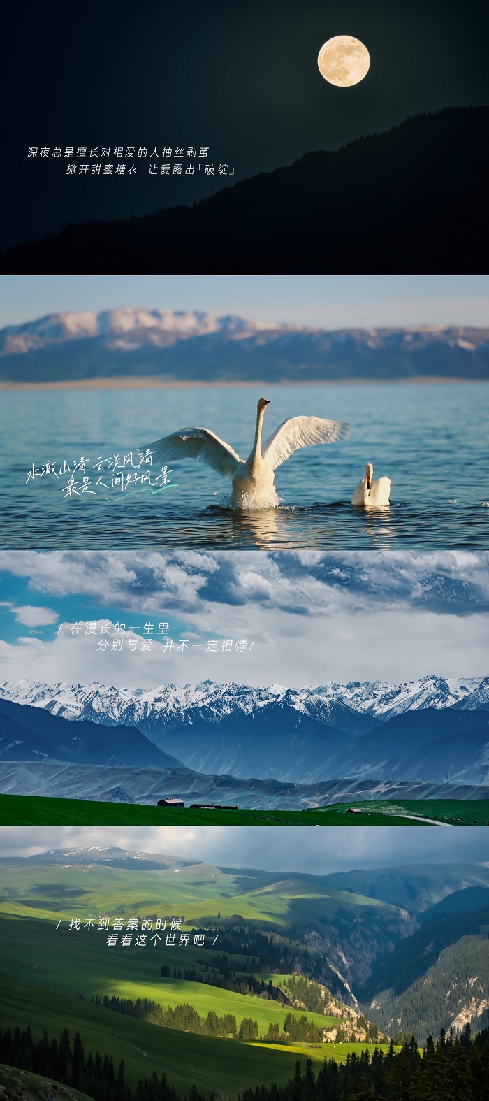 1636945156-ac3cf8745b37eb7
