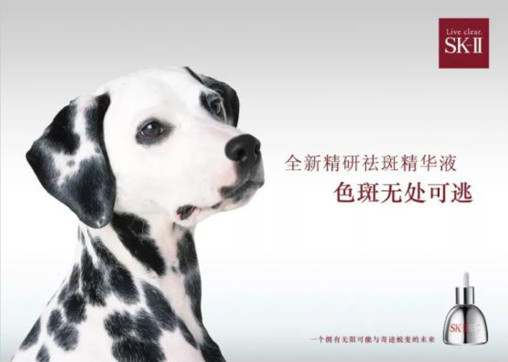 1637375760-a135da5849f5561