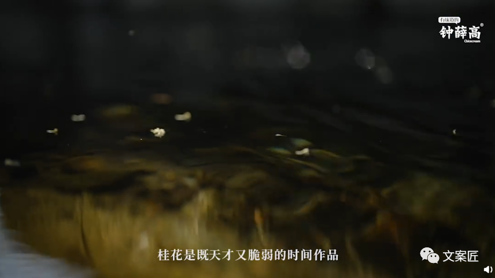 1641523898-d68d80c4f8ca43c