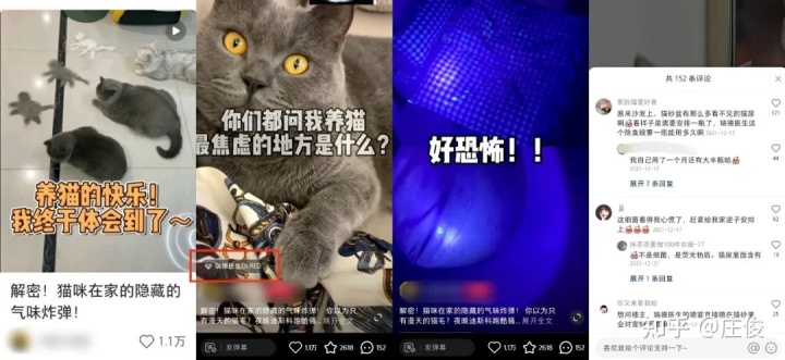 1642666922-a666ff86f639970