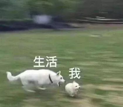 1646623169-8db013d7b090aef